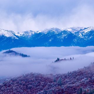 Siskiyou County Human Services