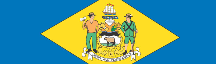 state flag