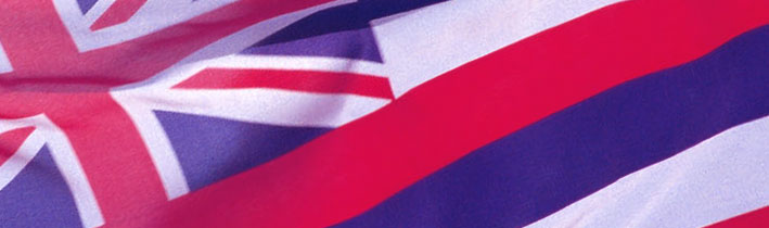 state flag