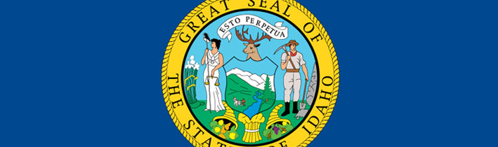 state flag