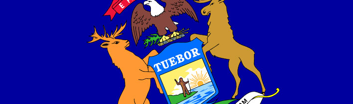 state flag