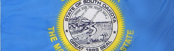 state flag