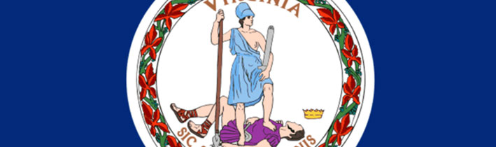 state flag