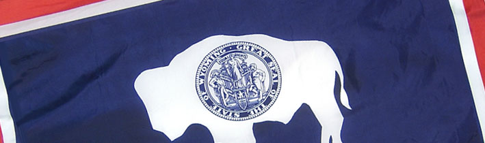 state flag